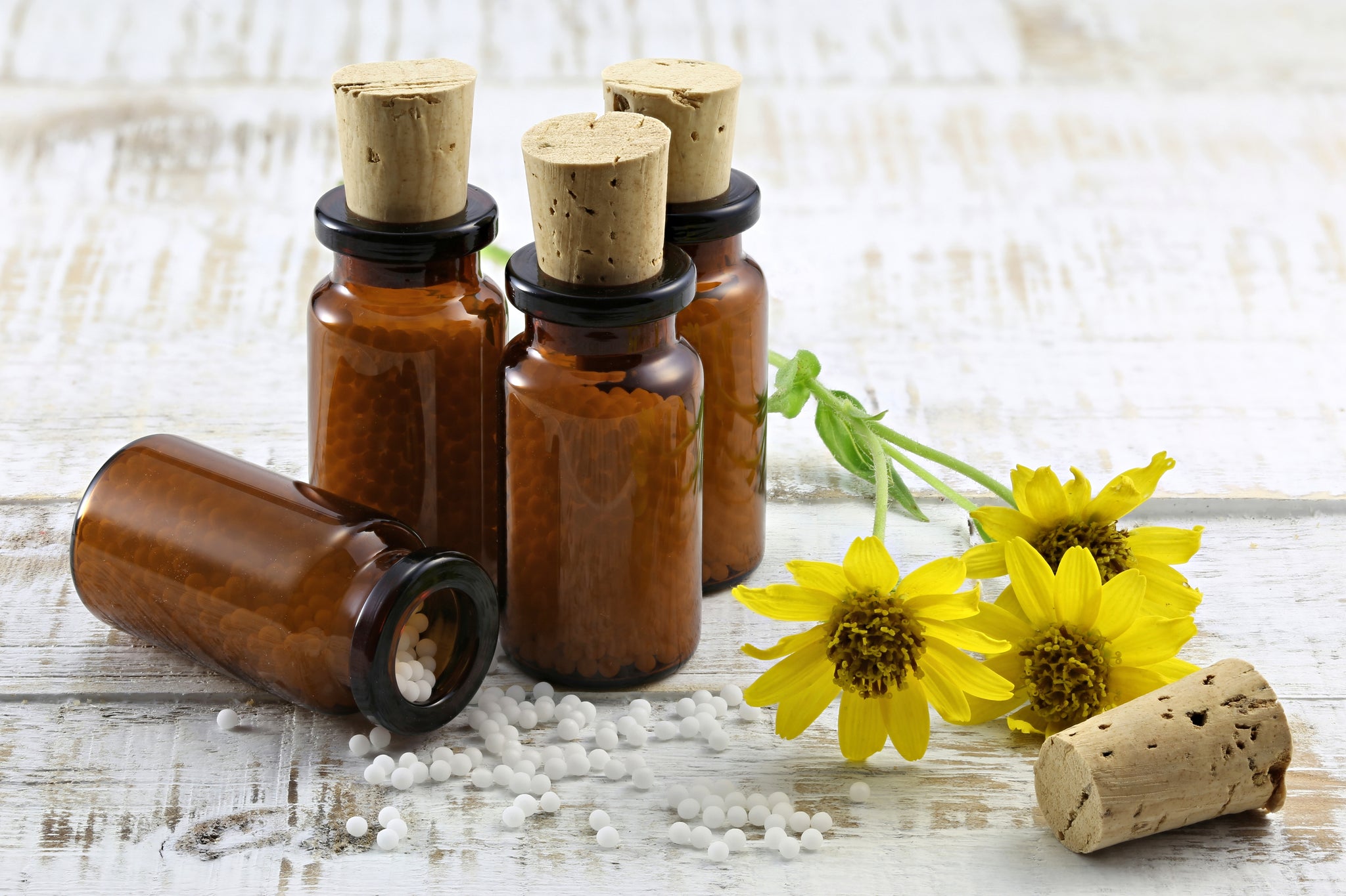 Tissue Salts VS Homeopathic Remedies: What's the Difference?